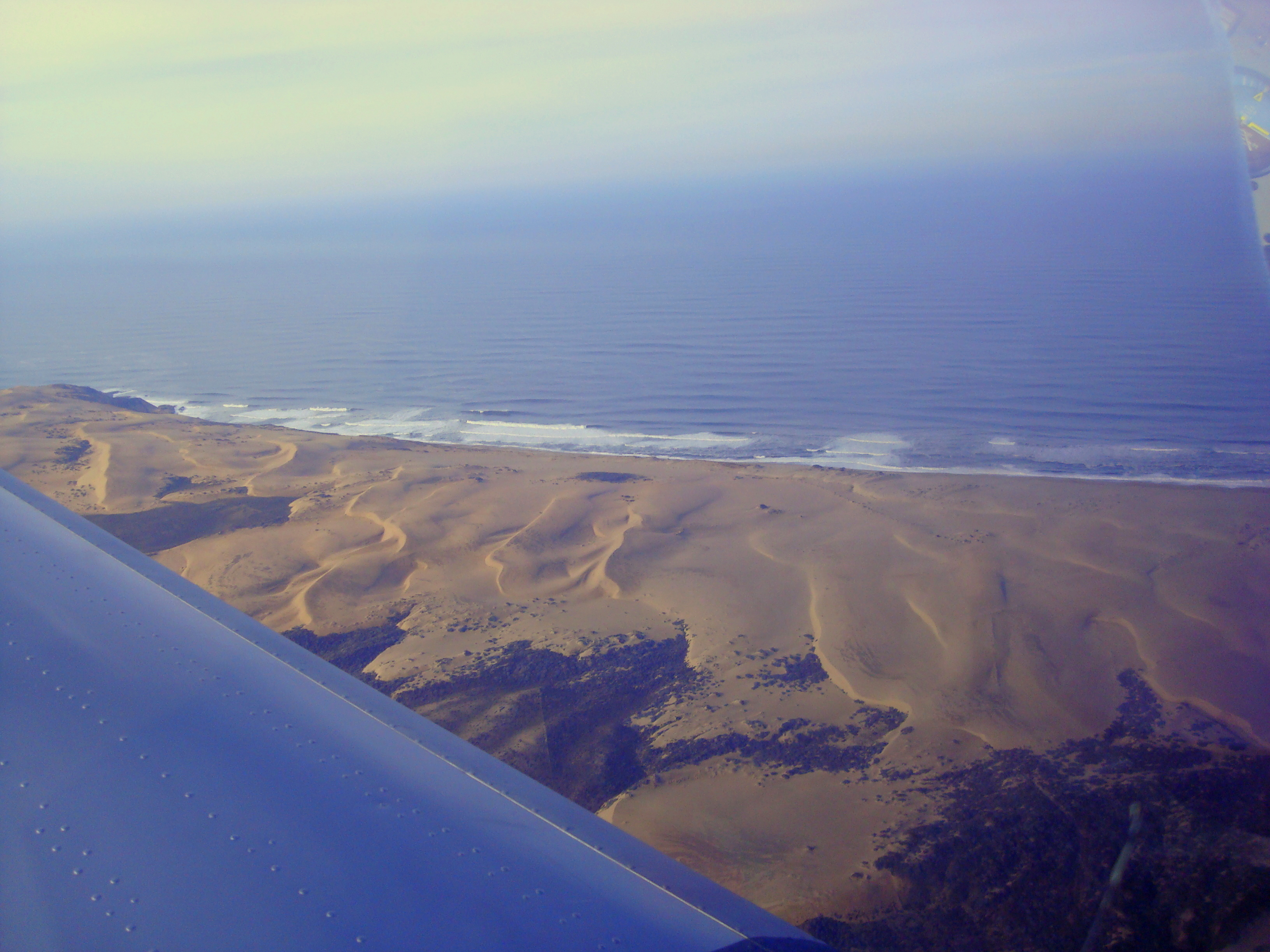 Pismo Dunes
