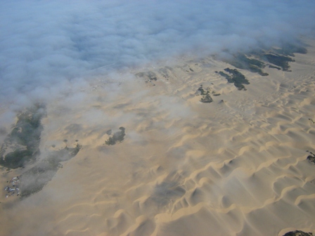 beach dunes at Pismo Beach