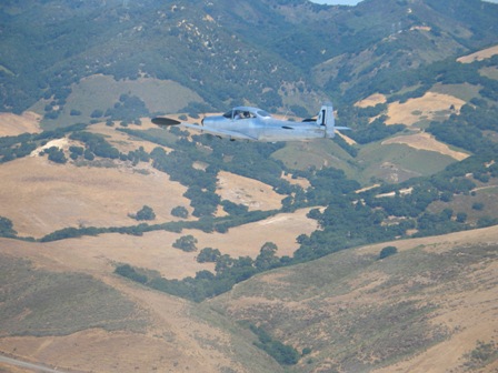 Navion and some California oak trees